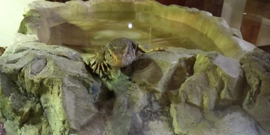 129b5636 1545 4b6c b483 90b3eaf07f08