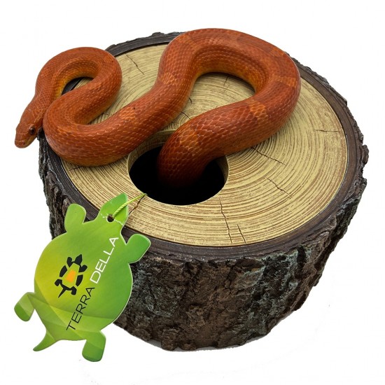 4047059478936sc2webl 1