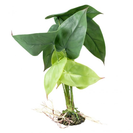 4047059480823prdwebl 0