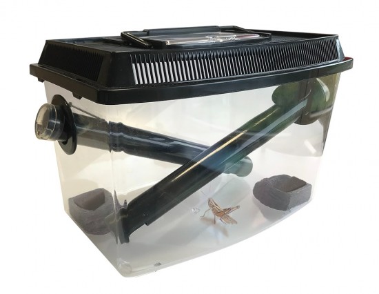 4047059483329prdwebl