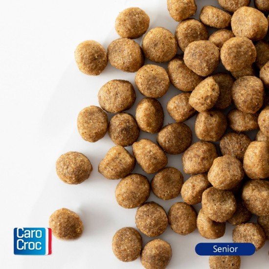 Carocroc senior   brokken in beeld hond