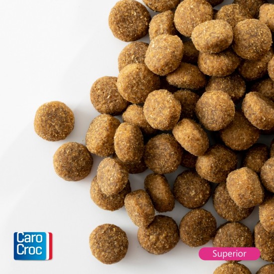 Carocroc superior   brokken in beeld