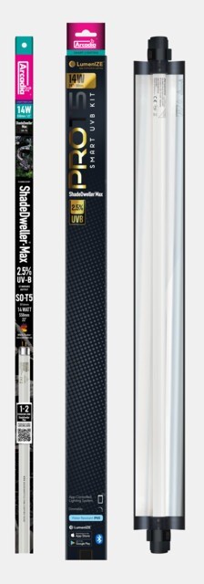 Lumenize shadeweller 25