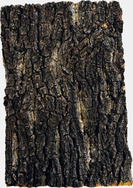 Plate30x20cmproduct2a711