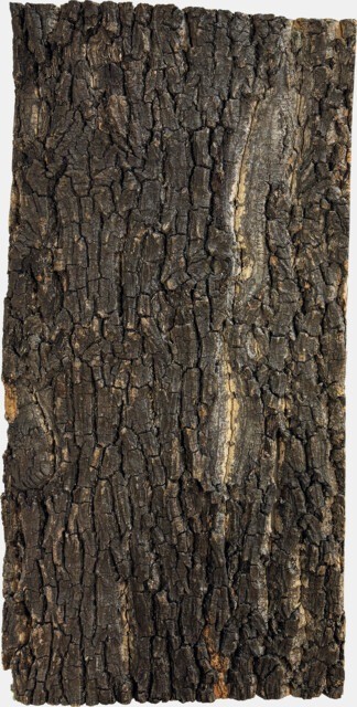 Plate60x30cmproduct1ce3d